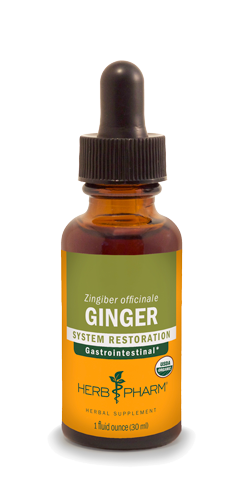 GINGER 1 fl oz UPC | HiLife Vitamins