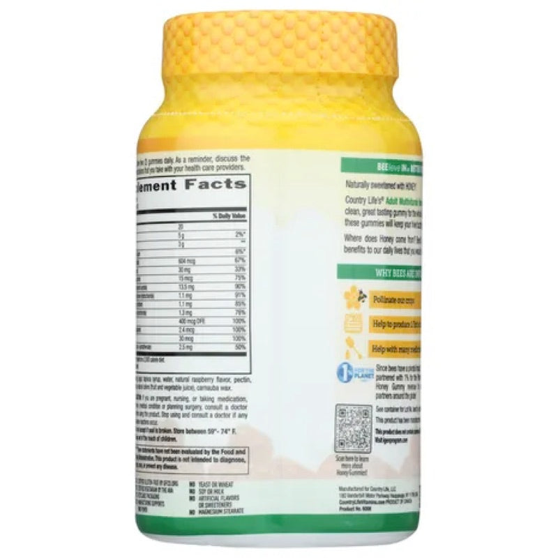 Country Life, Adult Multivitamin Honey Gummies, Natural Raspberry, 60 Gummies UPC 015794060086 | Hilife Vitamins