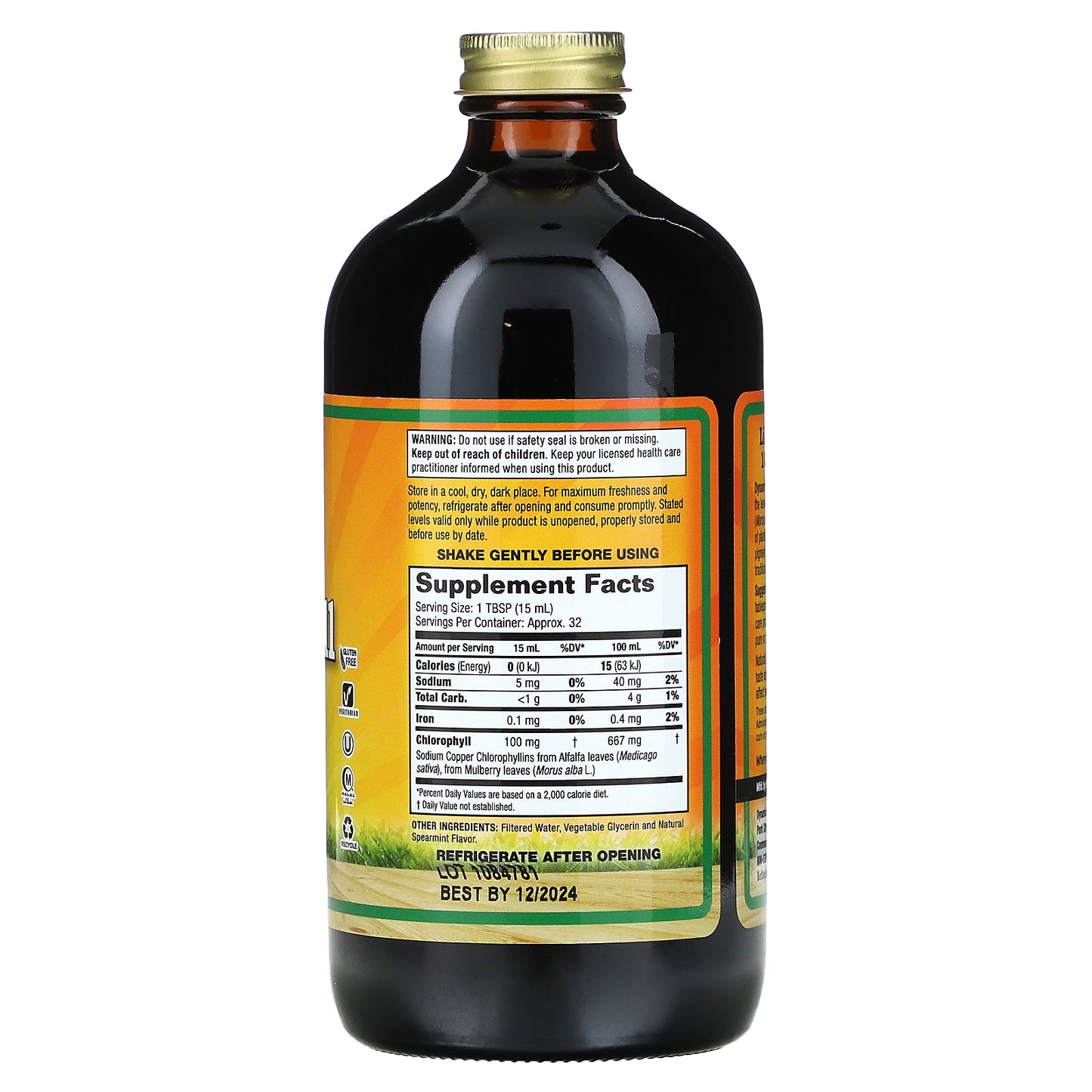 Dynamic Health, Liquid Chlorophyll, Natural Spearmint, 100 mg, 16 Oz UPC 790223101584 | HiLife Vitamins