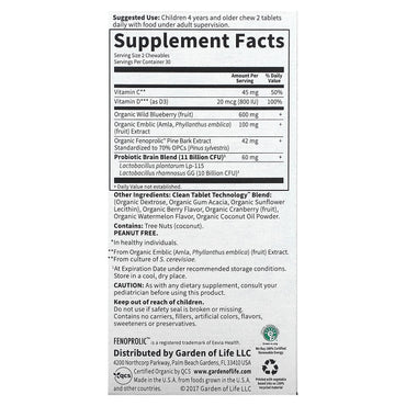 Garden of Life, Dr. Formulated Brain Health Organic Attention/Focus Kids, 60 Chewables UPC 658010120715 | HiLife Vitamins