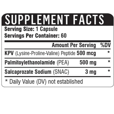 Healthgevity, KPV + PEA 500, 60 Capsules UPC 792105240282 | HiLife Vitamins