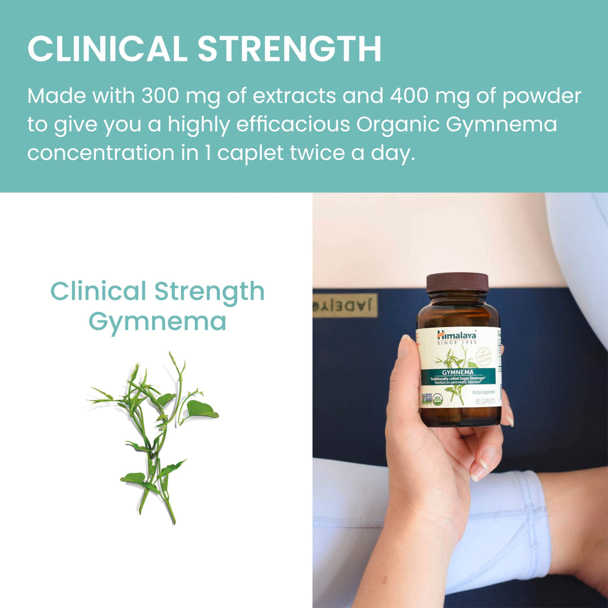 Himalaya, Organic Gymnema, 60 Caplets UPC 605069418010 | Hilife Vitamins