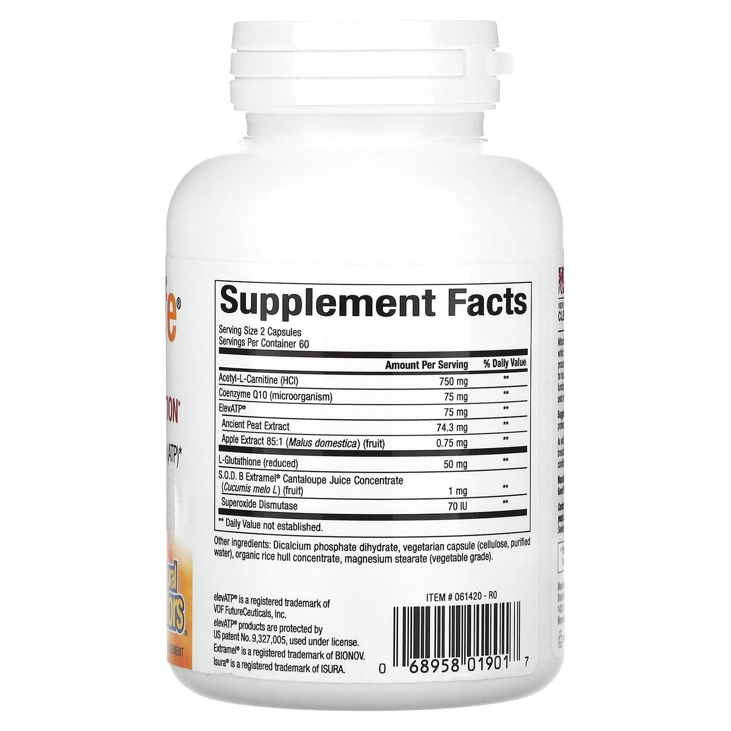 Natural Factors, RegenerLife, Optimize Mitochondrial Function, 120 Vegetarian Capsules UPC 068958019017 | Hilife Vitamins