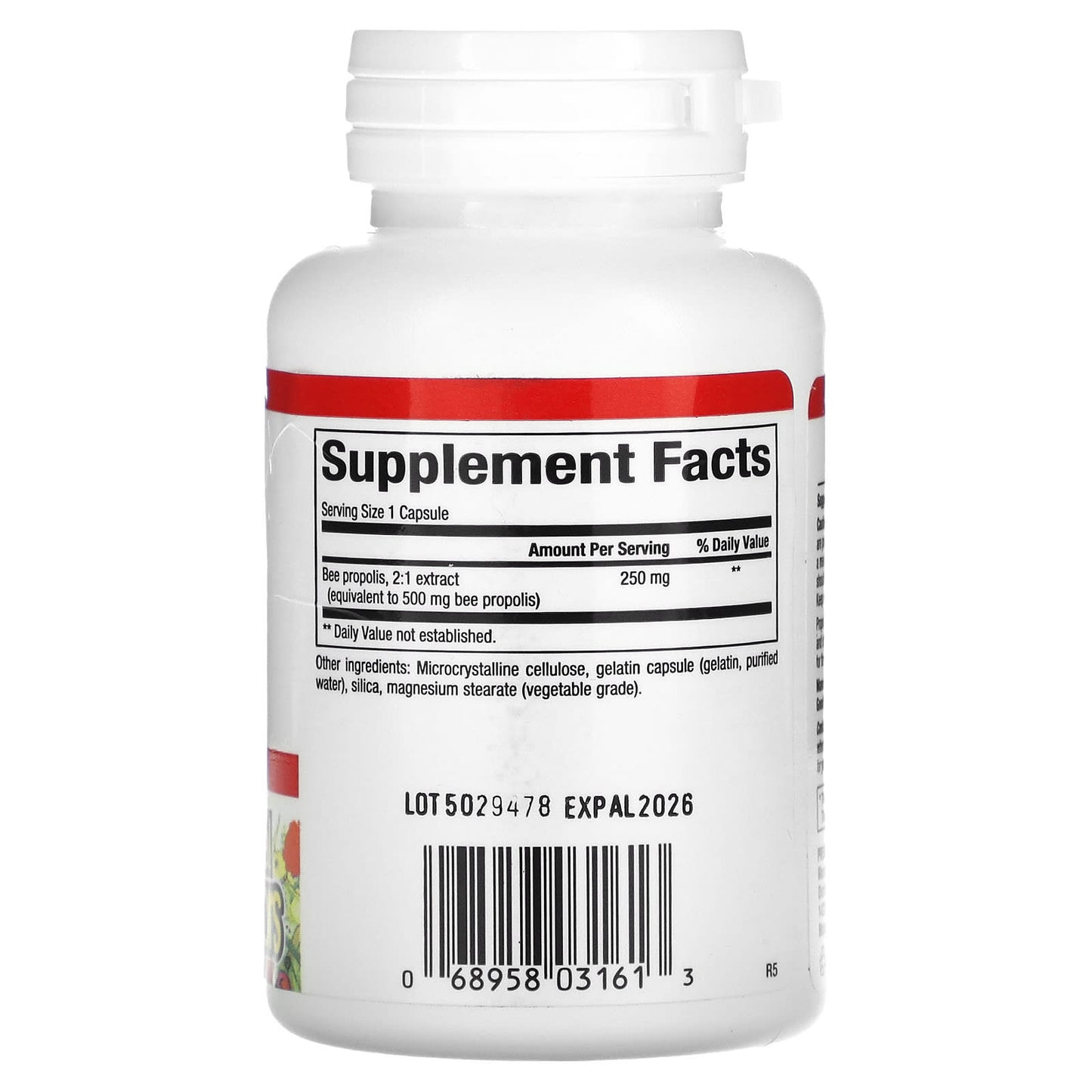 Natural Factors, Bee Propolis, 500 mg, 90 Capsules UPC 068958031613 | Hilife Vitamins
