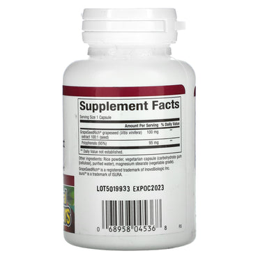 Natural Factors, GrapeSeedRich, Grape Seed Extract, 100, 90 Capsules UPC 068958045368 | Hilife Vitamins