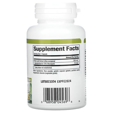Natural Factors, HerbalFactors, Olive Leaf, 500 mg, 60 Capsules UPC 068958045696 | Hilife Vitamins
