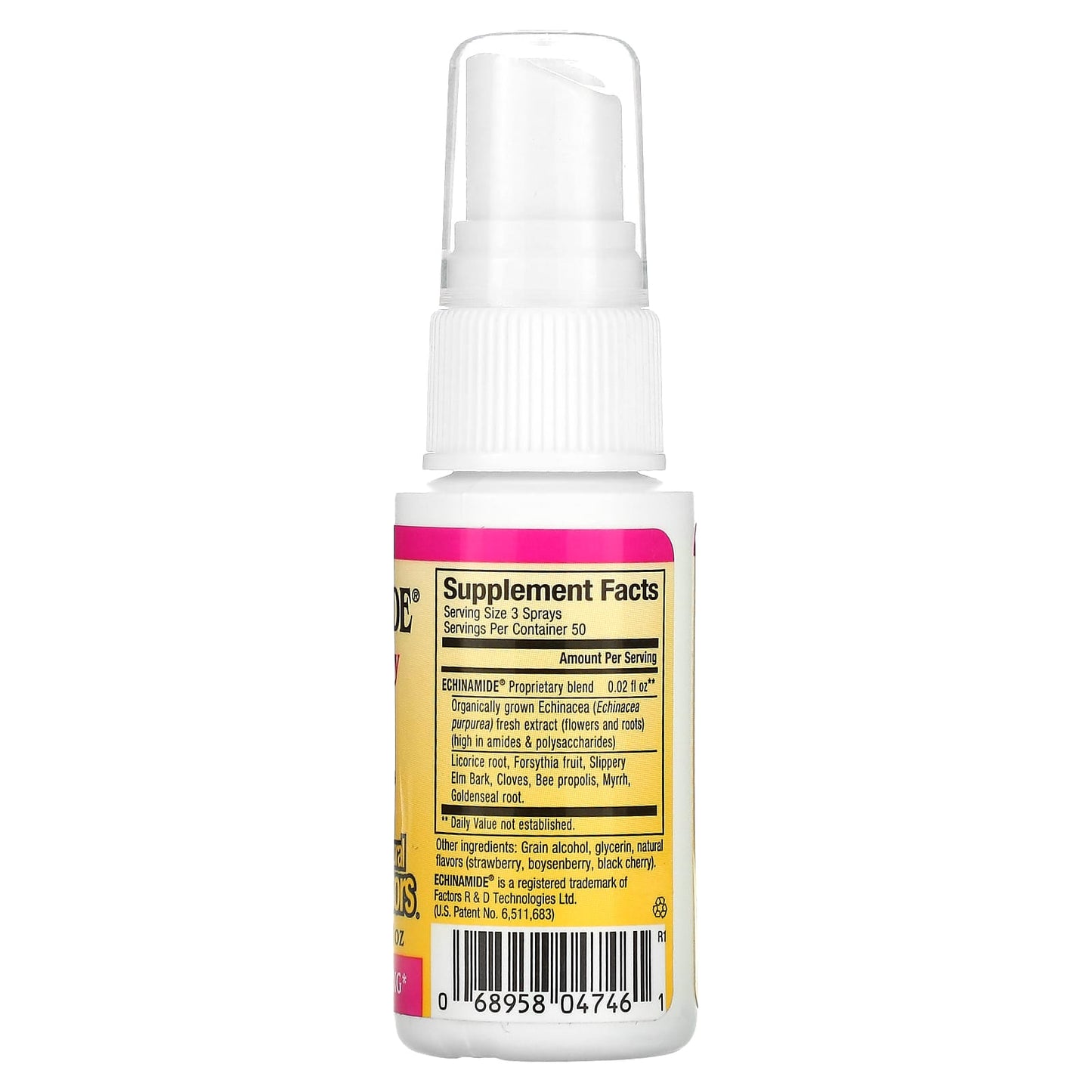 Natural Factors, Echinamide, Throat Spray Formula with P, 1 Oz UPC 068958047461 | Hilife Vitamins