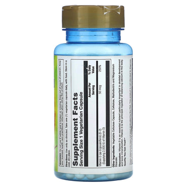 Nature’s Life, D-2 Ergocalciferol 2000 IU, 90 Capsules UPC 040647132368 | HiLife Vitamins