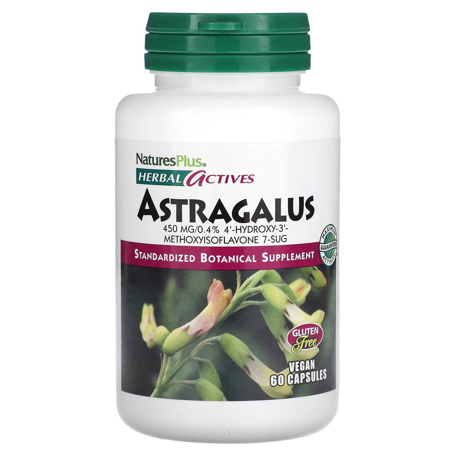 Nature's Plus, Astragalus 450 mg, 60 Vegetarian Capsules UPC 097467071124 | Hilife Vitamins