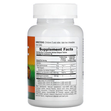 Nature's Plus, Animal Parade, Children's Chewable Supplement, Vitamin C, Orange Juice Flavor, 90 animal-Shaped tablets