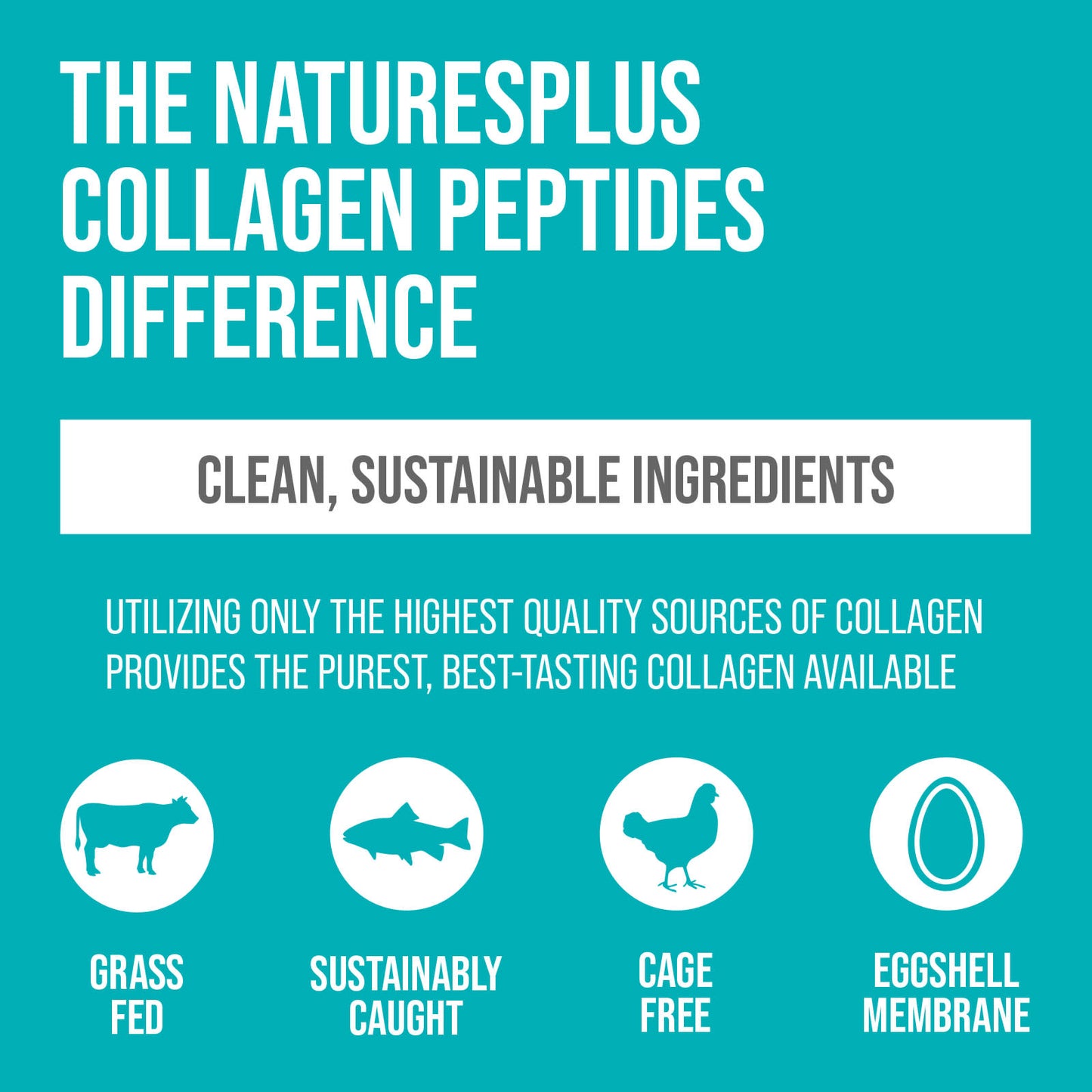 Nature’s Plus, Collagen Peptides, 1.3 lbs (588 g) UPC 097467459625 | HiLife Vitamins