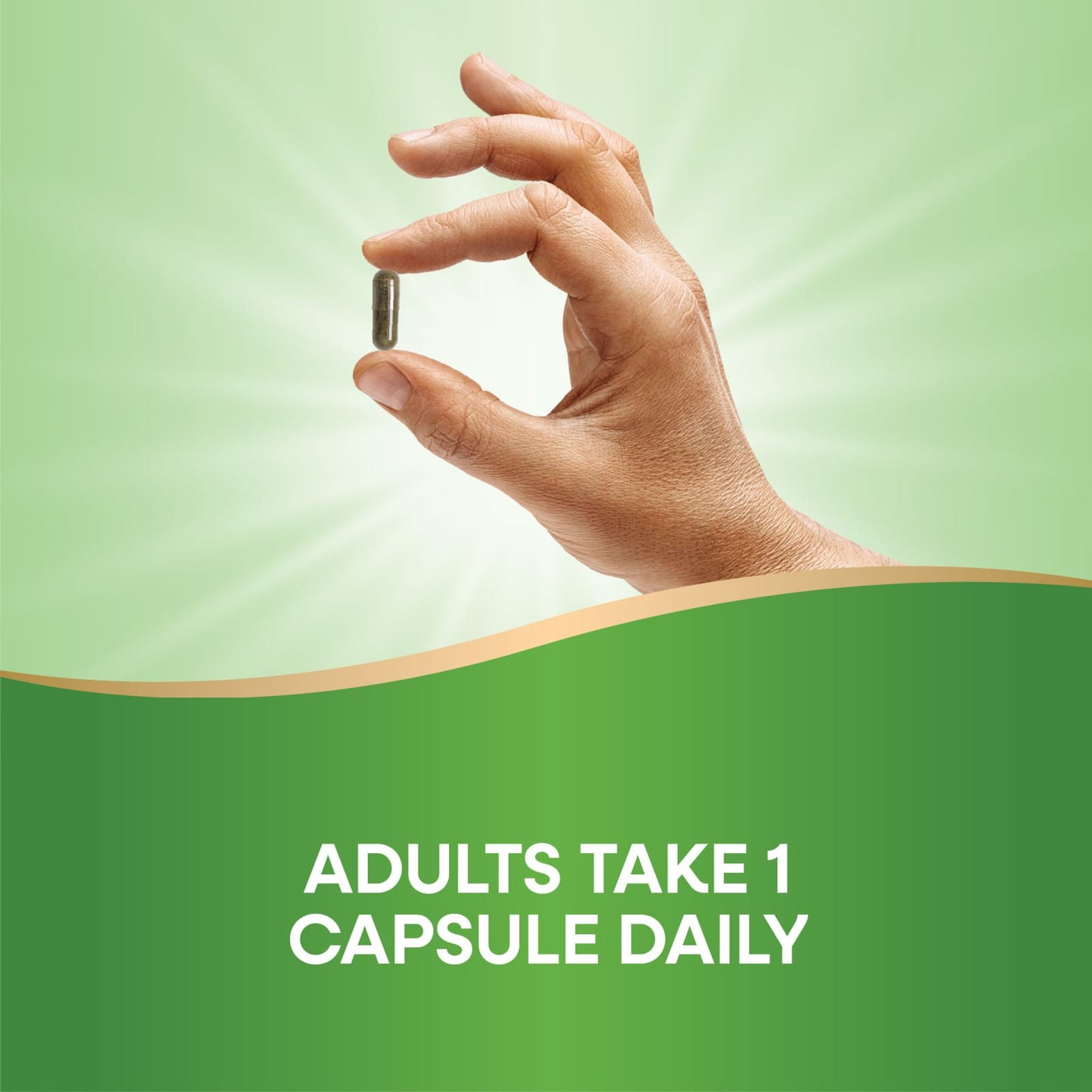 Nature’s Way, Kelp, Whole Thallus, 600 mg, 100 Vegan Capsules UPC 033674145005 | Hilife Vitamins