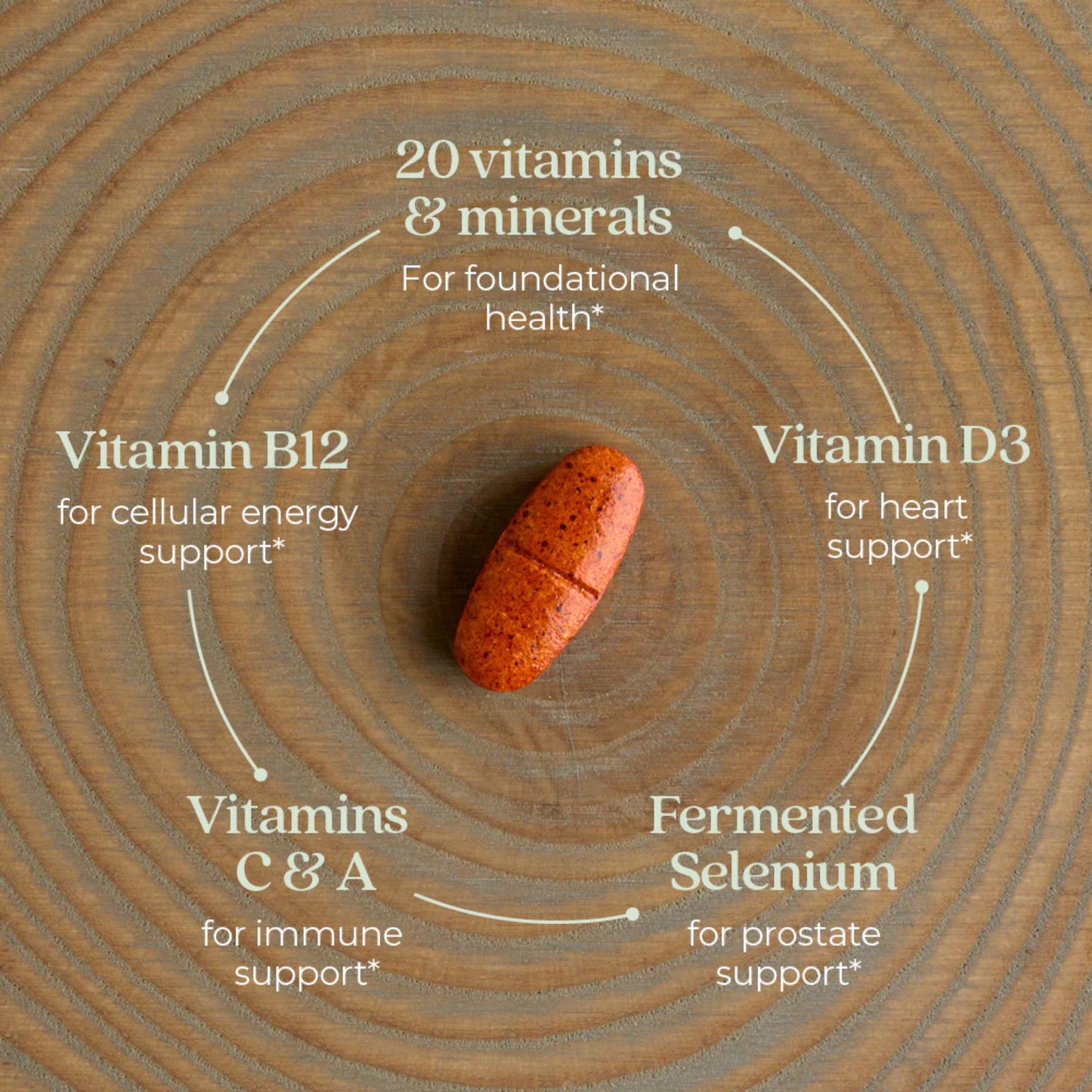 New Chapter, One Daily Every Man™'s Multivitamin 55+, 96 Vegetarian Tablets UPC 727783901484 | HiLife Vitamins
