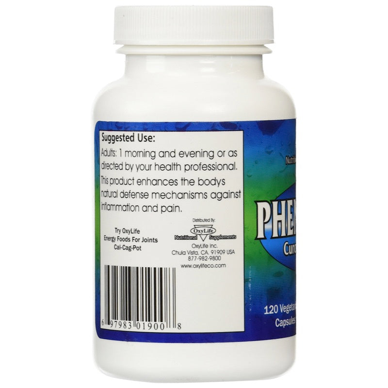Oxylife, Phenocane, Curcumin & DLPA, 120 Vegetarian Capsules UPC 697983019008 | HiLife Vitamins