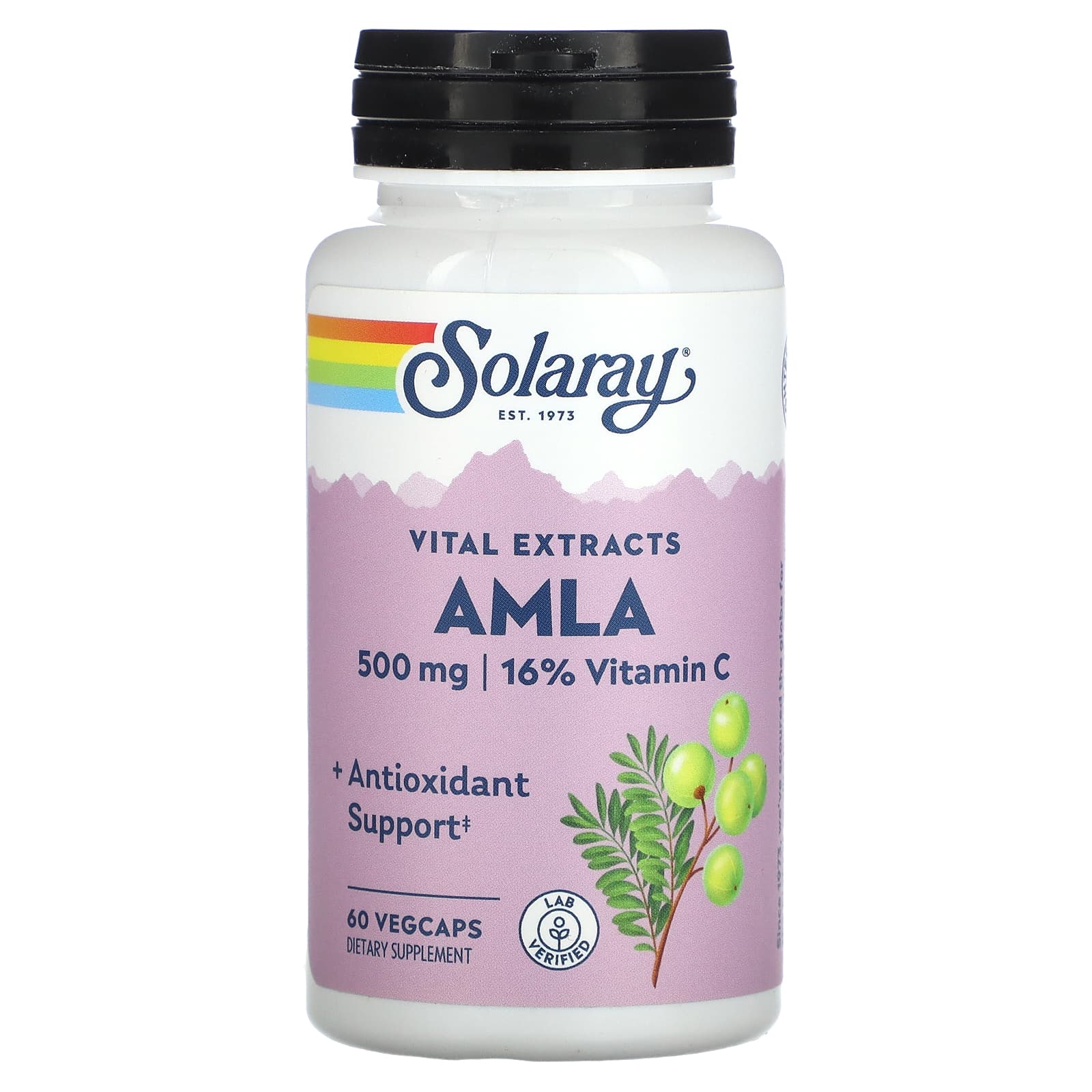 Solaray, Amla Fruit Extract 500 mg, 60 VegCaps UPC 076280106732 | HiLife Vitamins
