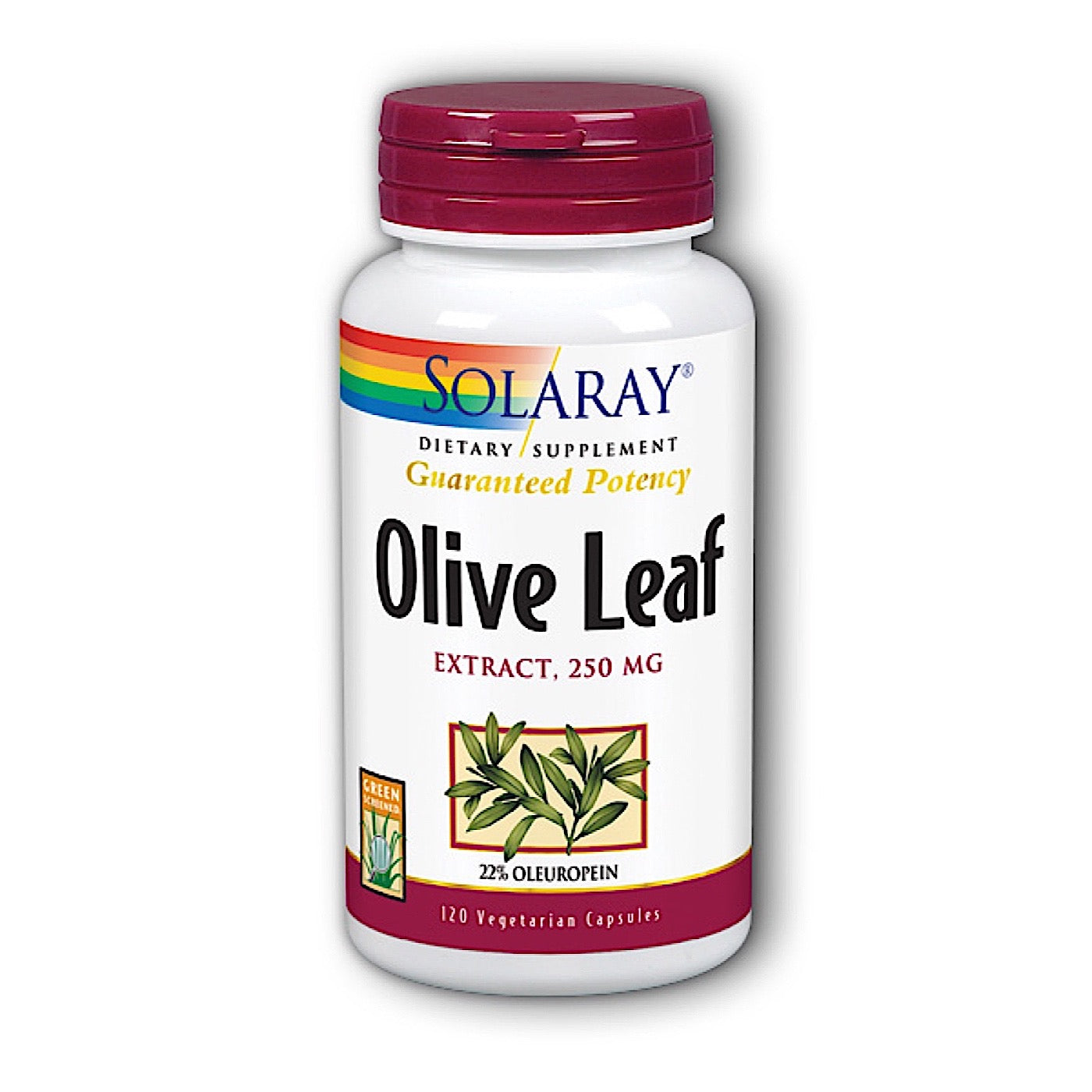 Solaray, Olive Leaf Extract 22% 250mg, 120 Vegetarian Capsules UPC 076280402490 | HiLife Vitamins