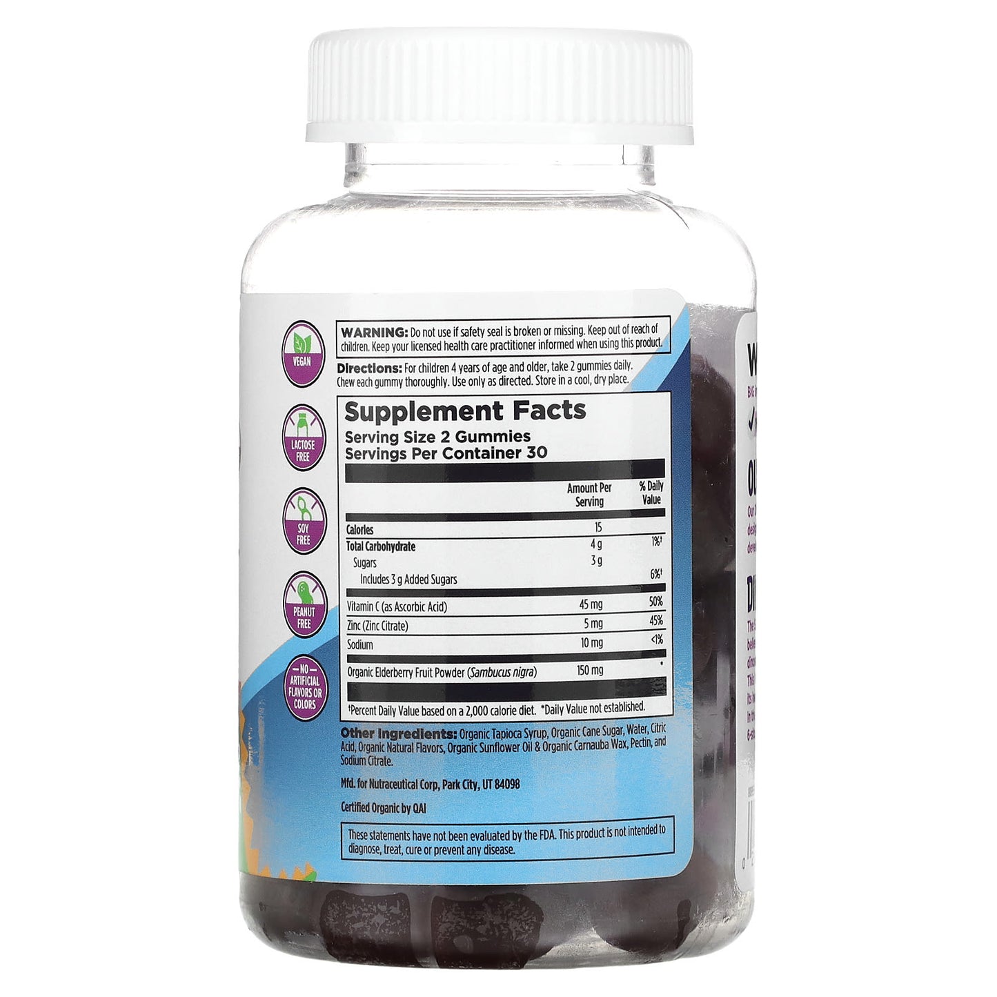 Kal, Jurassic Elderberry Gummy, Berry, 60 Gummies UPC 021245412502 | HiLife Vitamins