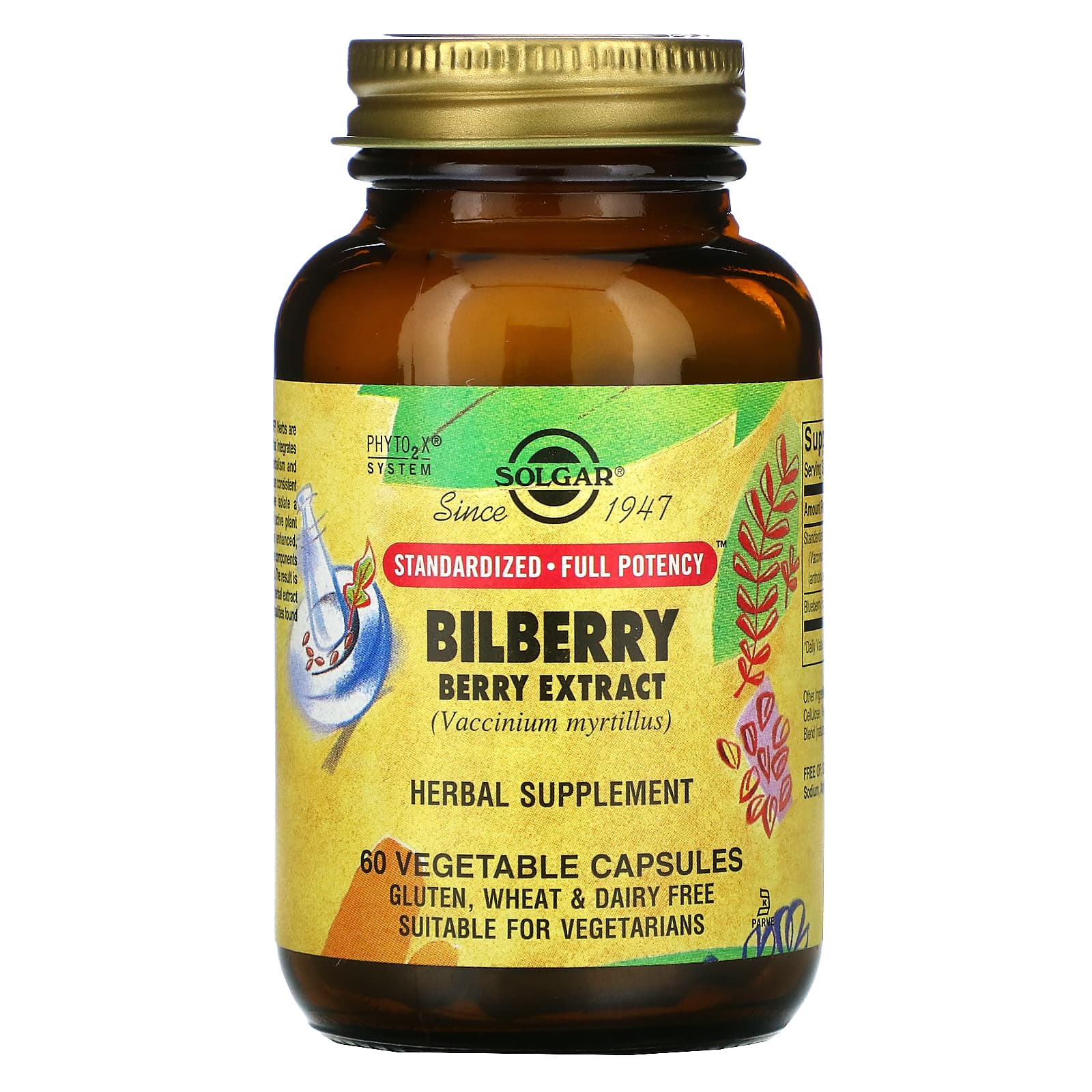 Solgar, Sfp Bilberry, 60 Vegetable Capsules UPC 033984041103 | HiLife Vitamins