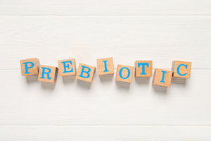 Prebiotics: The Key to Gut Health and Overall Well-being
