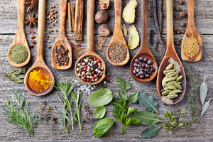 Rebalancing the Microbiome with Herbs