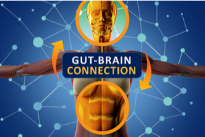 The Gut-Brain Connection: Exploring the Microbiome-Gut-Brain Axis