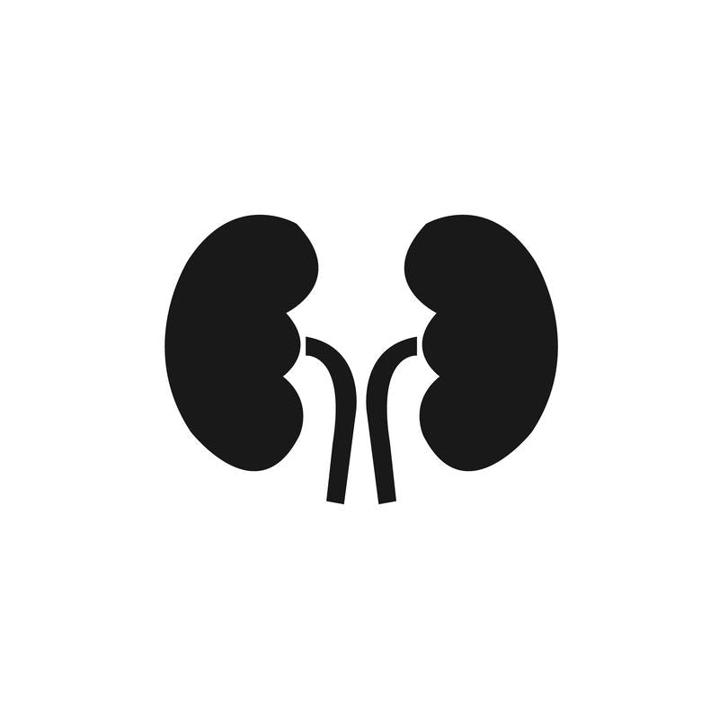 Kidney