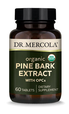 Dr. Mercola, Organic Pine Bark Extract, 60 Tablets UPC 810487039260 | HiLife Vitamins