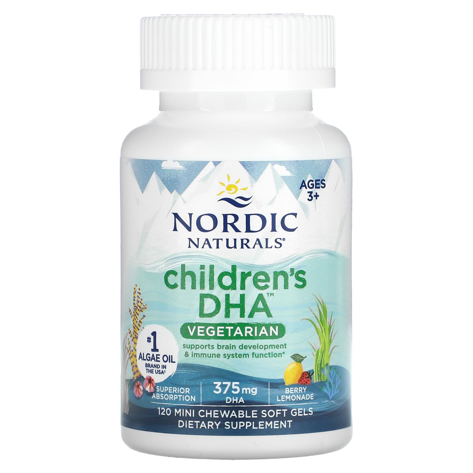 Nordic Naturals, Children's DHA™ Vegetarian, 120 UPC 768990017063 | HiLife Vitamins