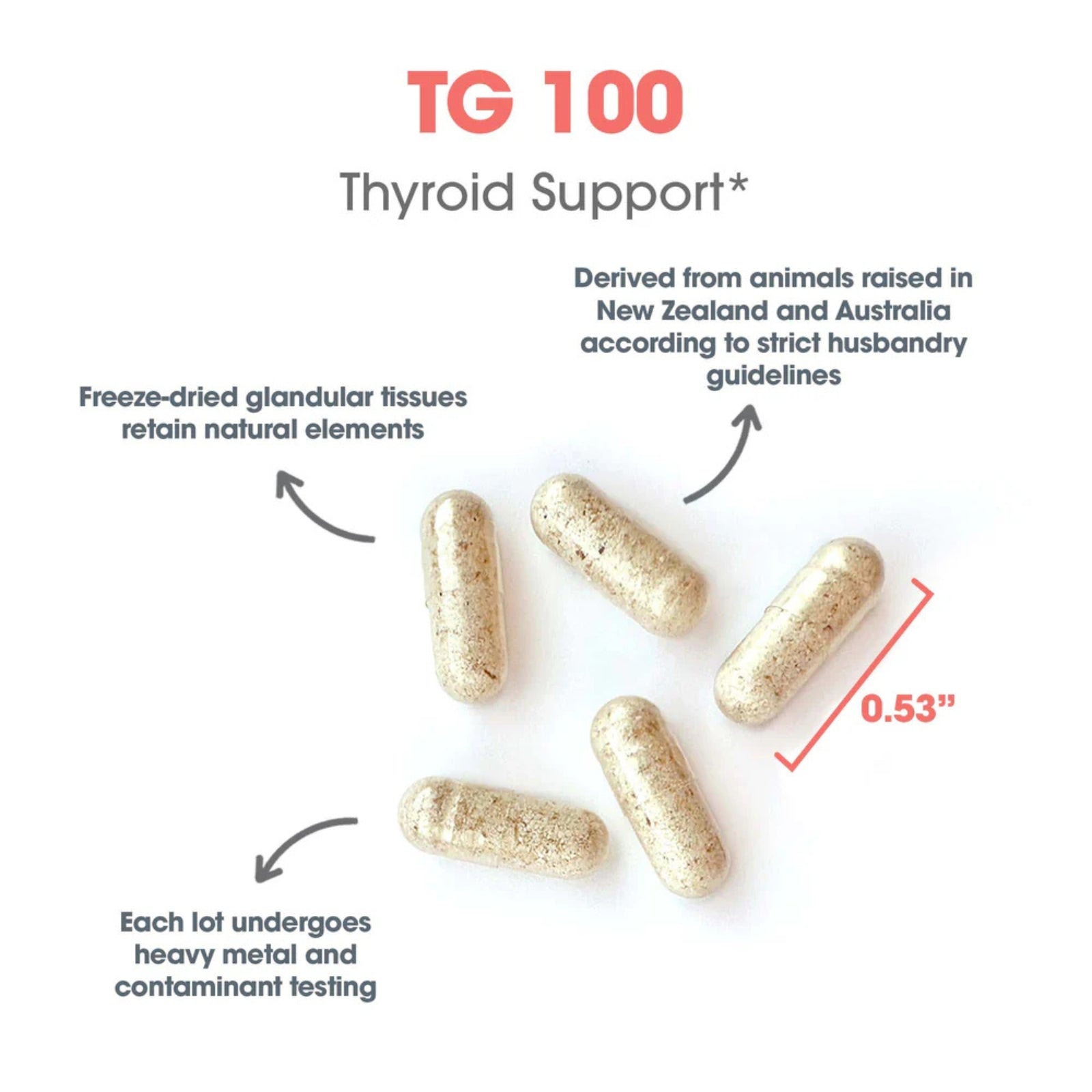 Allergy Research Group, TG 100, Natural Glandulars, 100 Vegetarian Capsules UPC 713947718005 | Hilife Vitamins