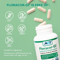 AST Enzymes, Floracor-GI®, 180 Vegetarian Capsules UPC 850213002038 | Hilife Vitamins