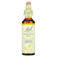 Bach Flower, Flower Essence Chestnut Bud, .7 oz Liquid UPC 741273204718 | Hilife Vitamins