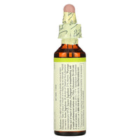 Bach Flower, Flower Essence Chestnut Bud, .7 oz Liquid UPC 741273204718 | Hilife Vitamins