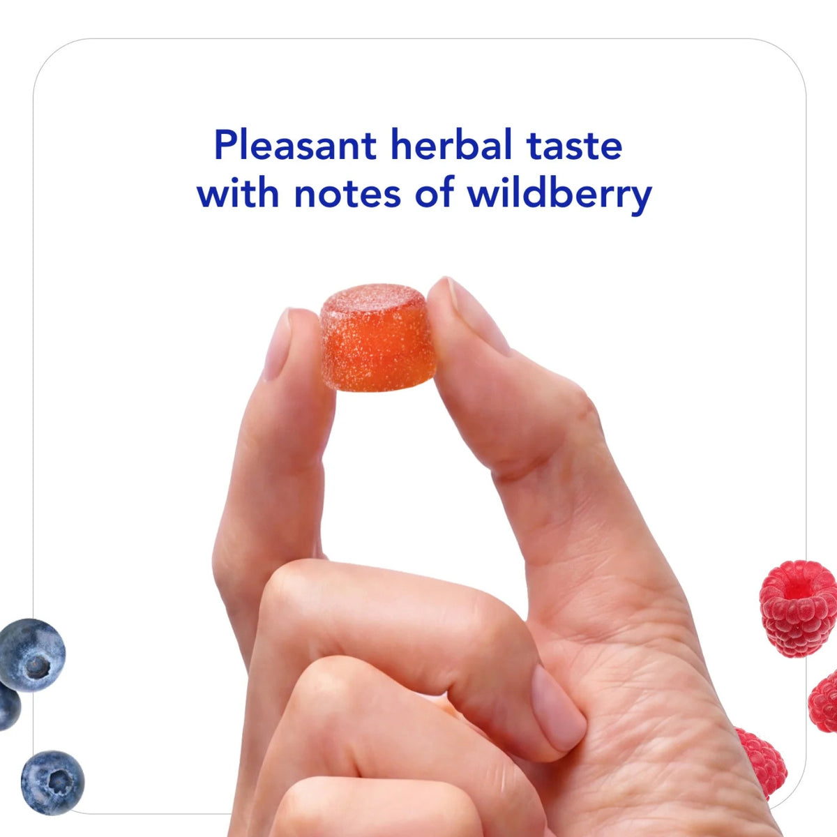 Biocidin Botanicals, Biocidin® Gummies, 60 Gummies UPC 899870002418 | Hilife Vitamins