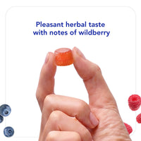 Biocidin Botanicals, Biocidin® Gummies, 60 Gummies UPC 899870002418 | Hilife Vitamins