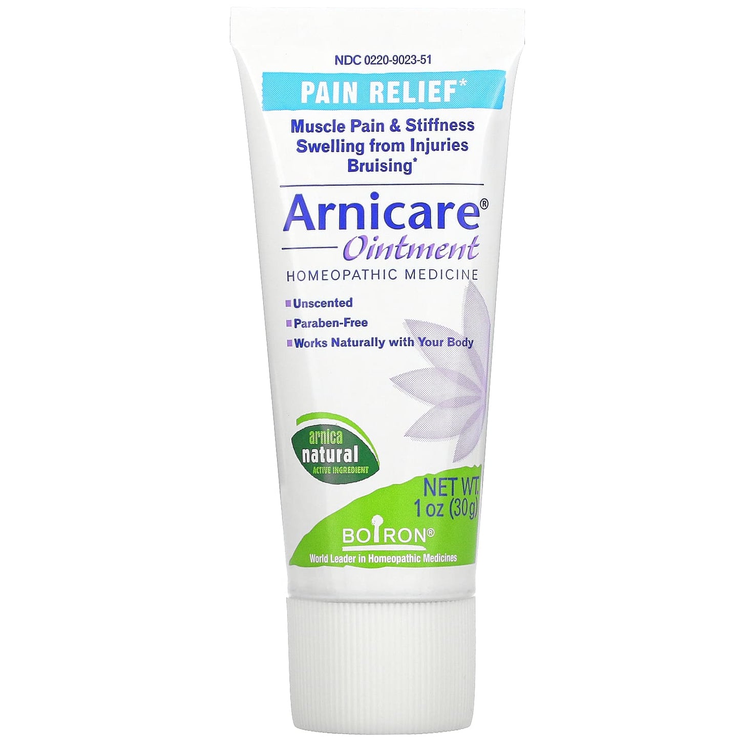 Boiron, Arnica Ointment, 1 Oz UPC 306960229506 | Hilife Vitamins