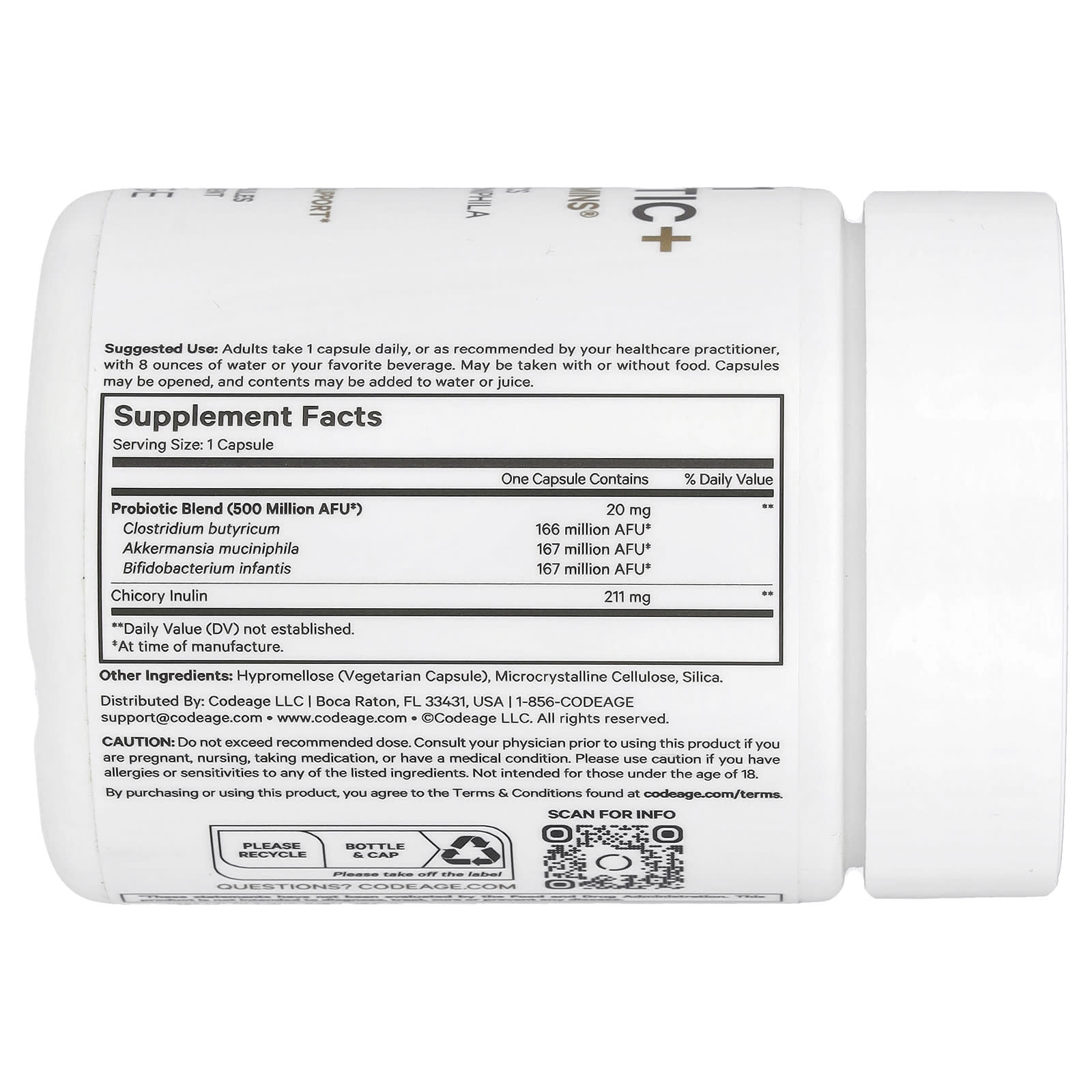 dollar dad club glp-1 reviews Member's Mark Assorted Pinwheel Wraps Party Tray, priced per pound dollar dad club glp-1 reviews Member's Mark Assorted Pinwheel Wraps Party Tray, priced per pound