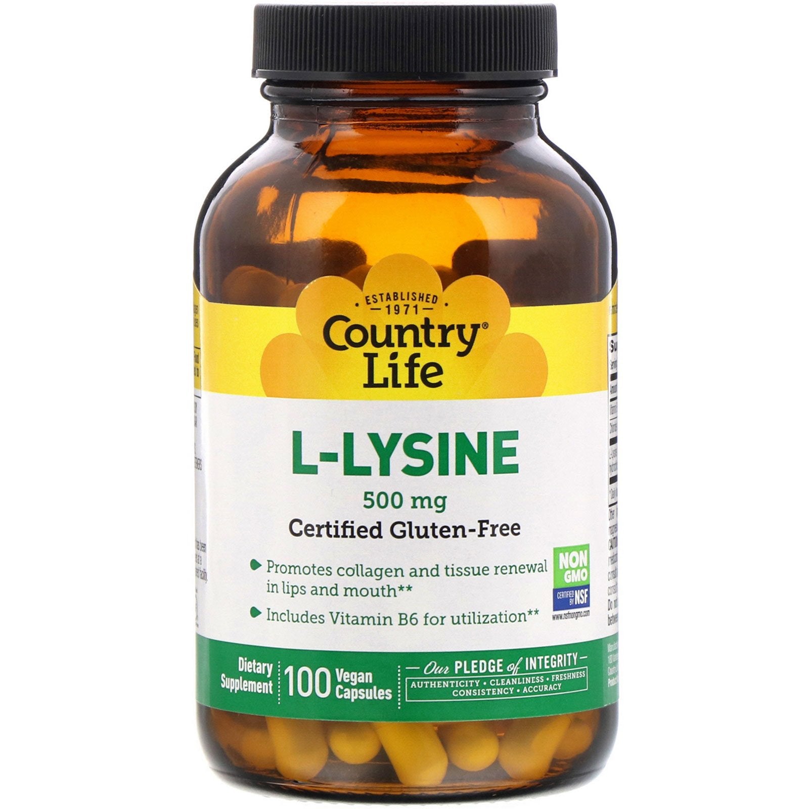 Country Life, L-Lysine 500 mg With B-6, 100 Vegetarian Capsules UPC 015794013075 | Hilife Vitamins
