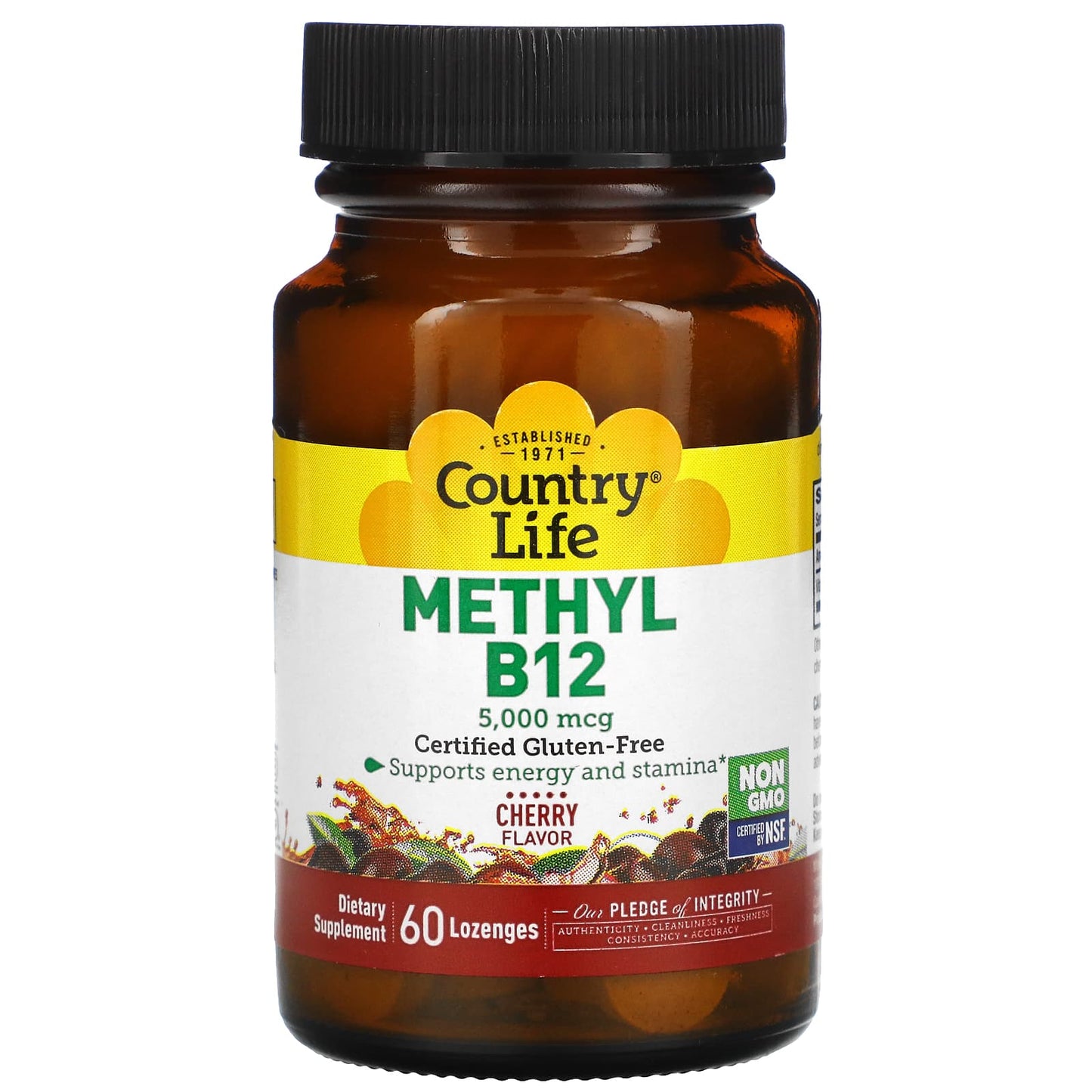 Country Life, Methyl B-12 5000 Mcg, 60 Lozenges UPC 015794063049 | Hilife Vitamins