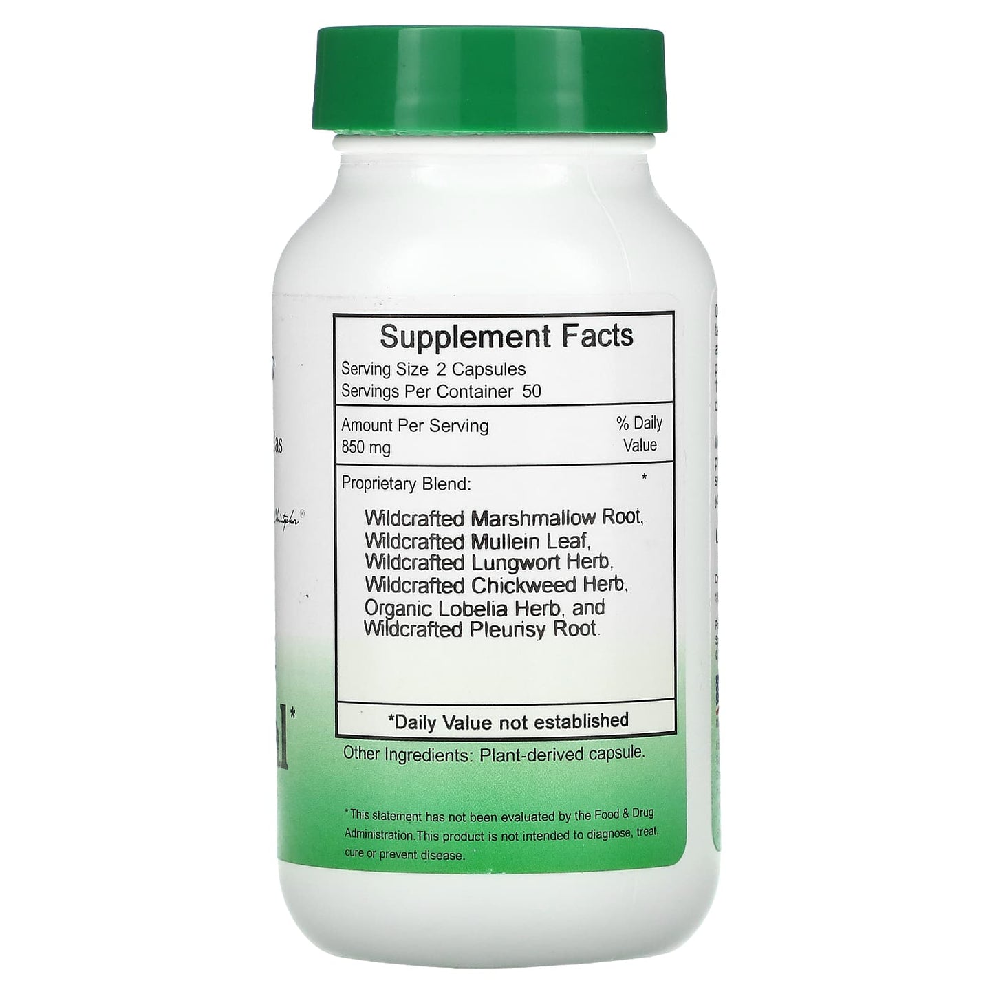 Doctor Christopher, Lung & Bronchial, 100 Vegetarian Caps | HiLife Vitamins