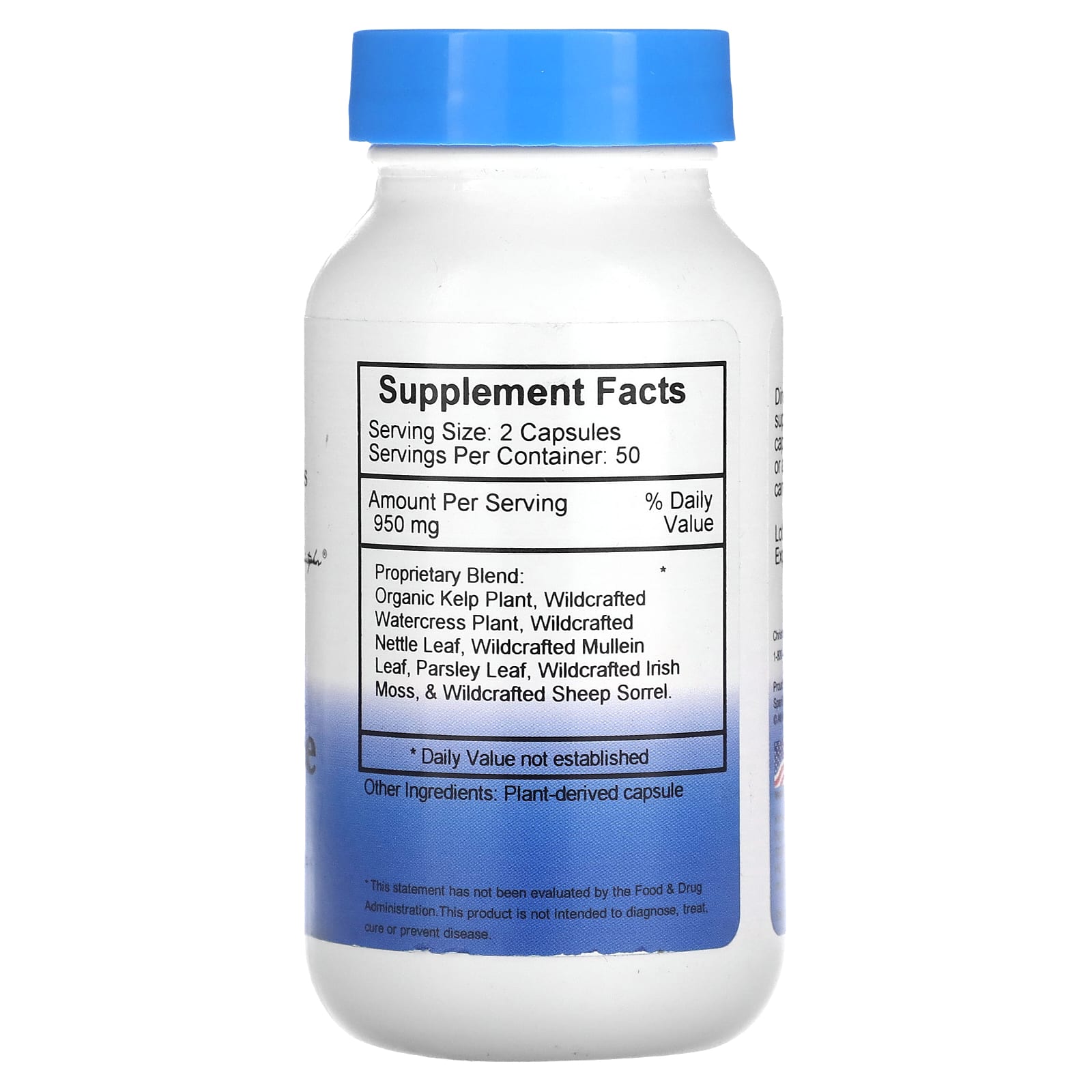 Doctor Christopher, Nourish Thyroid Maintenance, 100 Capsules UPC 084783891321 | HiLife Vitamins