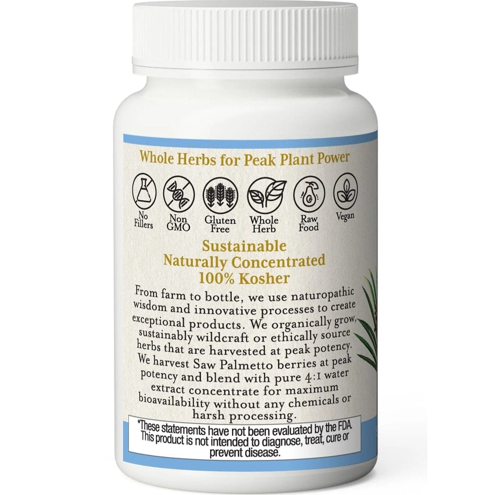 Eclectic Herb, Saw Palmetto, 600 mg, 120 Veg Caps UPC 023363301508 | HiLife Vitamins