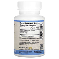Eclectic Herb, Turmeric COG FD V-90, 90 CAPS UPC 023363309948 | HiLife Vitamins