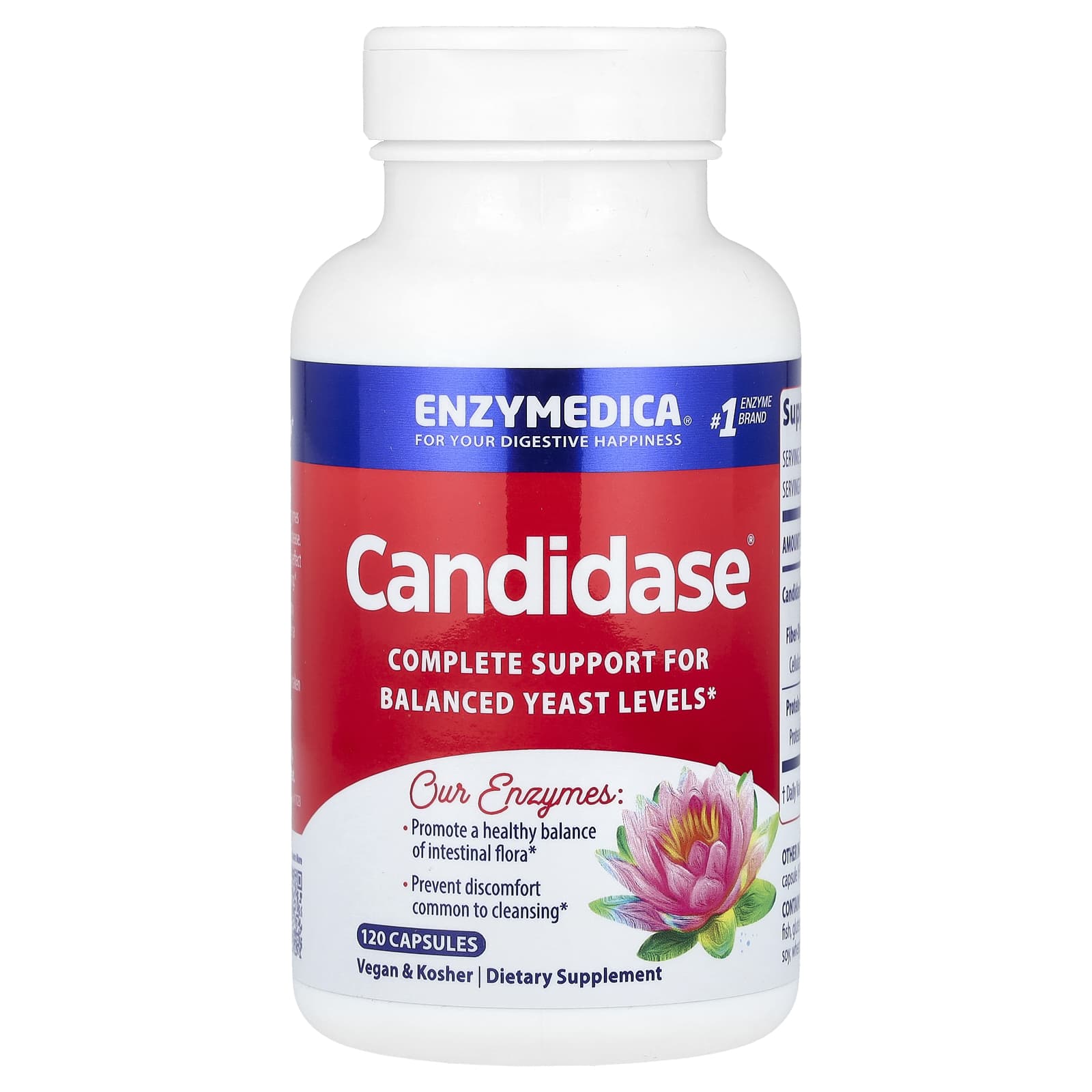 Enzymedica, Candidase, 120 Capsules UPC 670480201428 | HiLife Vitamins