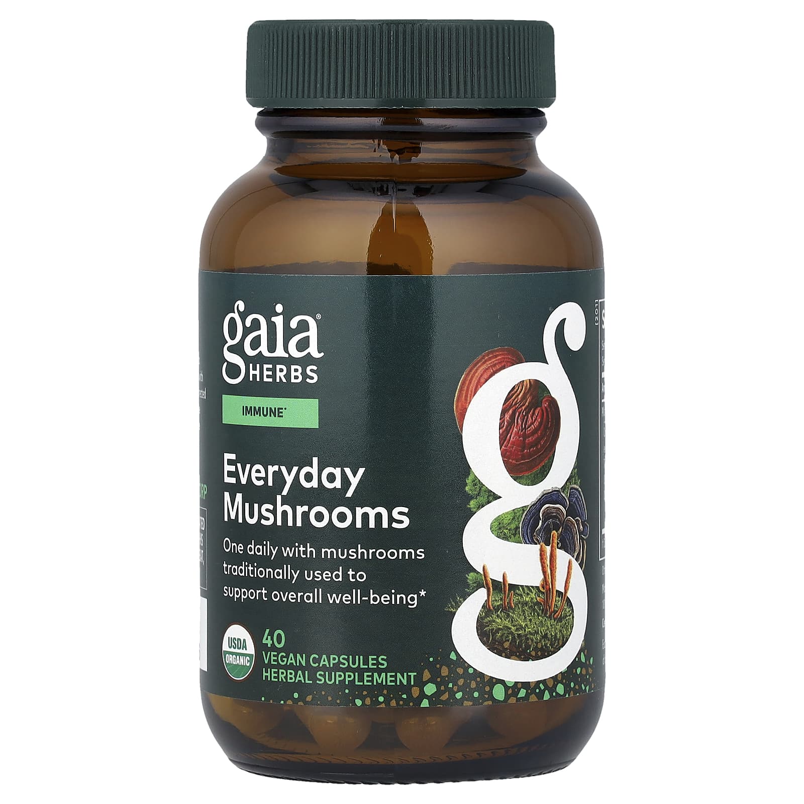 Gaia Herbs, Everyday Mushrooms (Formerly Known as Immune Mushroom Blend), 40 Vegan Capsules UPC 751063151726