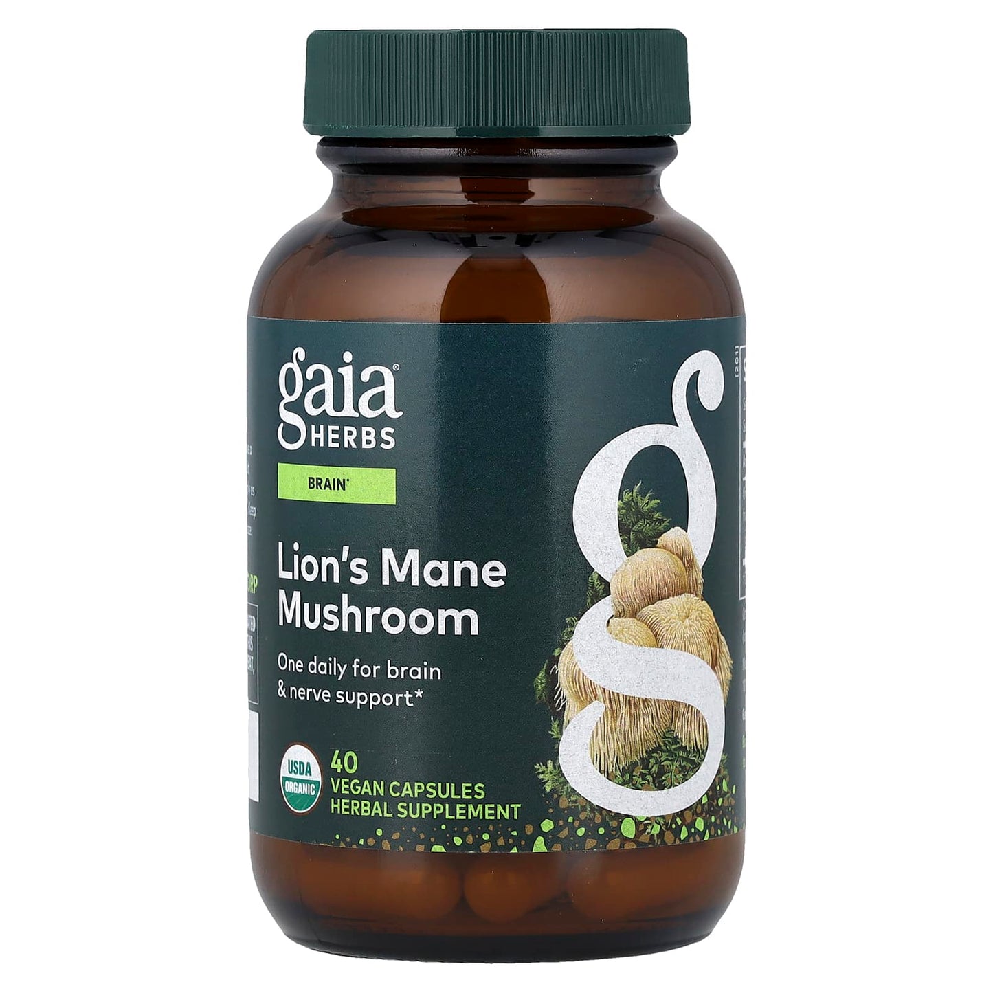 Gaia Herbs, Lion’s Mane Mushroom, 40 Vegan Capsules UPC 751063151757 | Hilife Vitamins