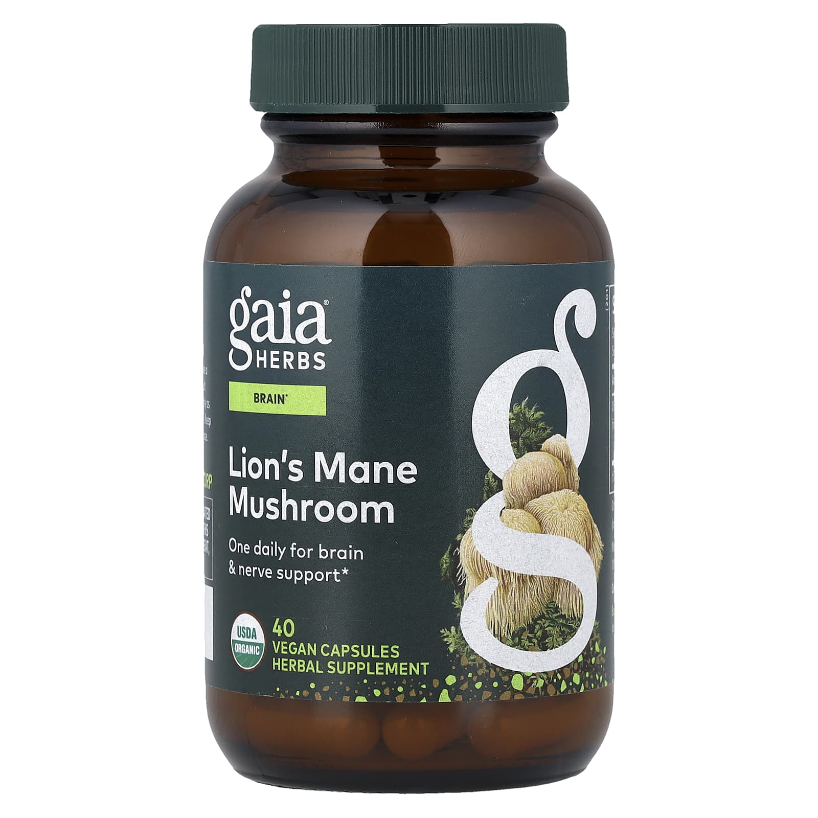 Gaia Herbs, Lion’s Mane Mushroom, 40 Vegan Capsules UPC 751063151757 | Hilife Vitamins