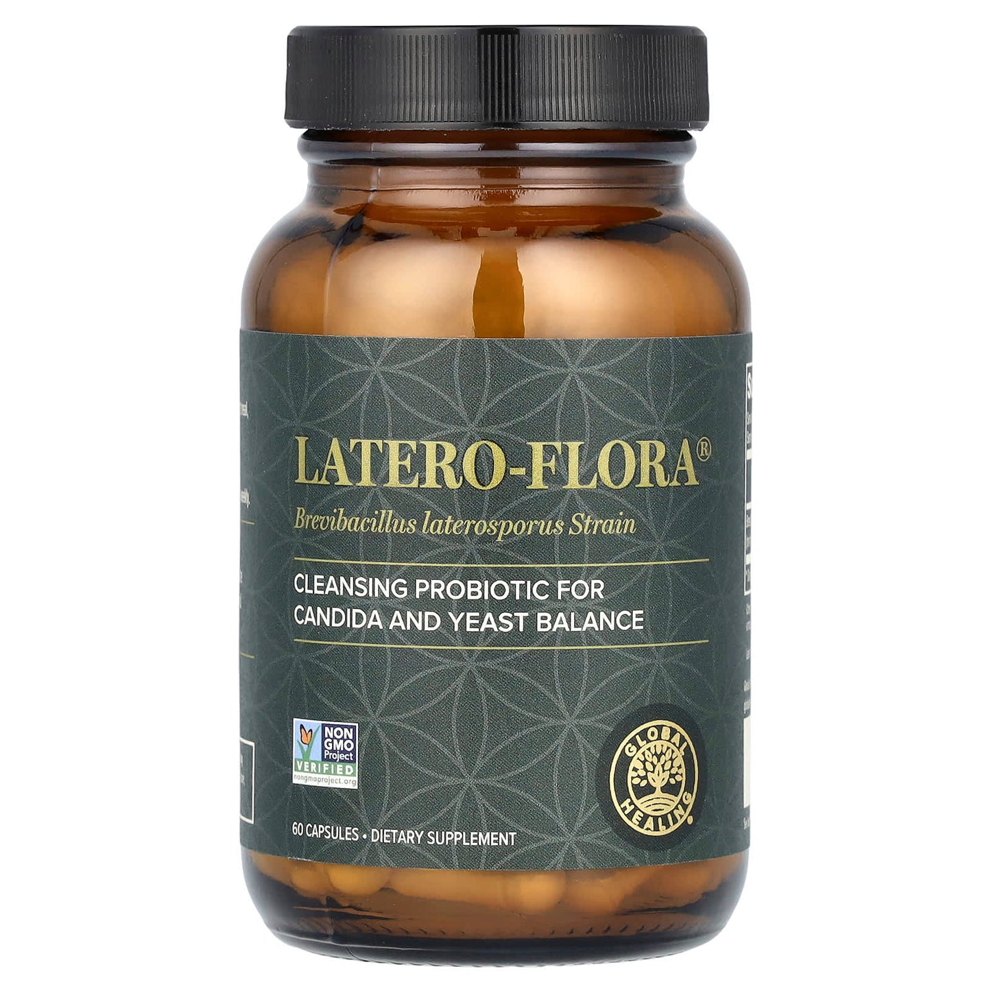 Global Healing, Latero-Flora, 60 Capsules UPC 811839030775 | Hilife Vitamins