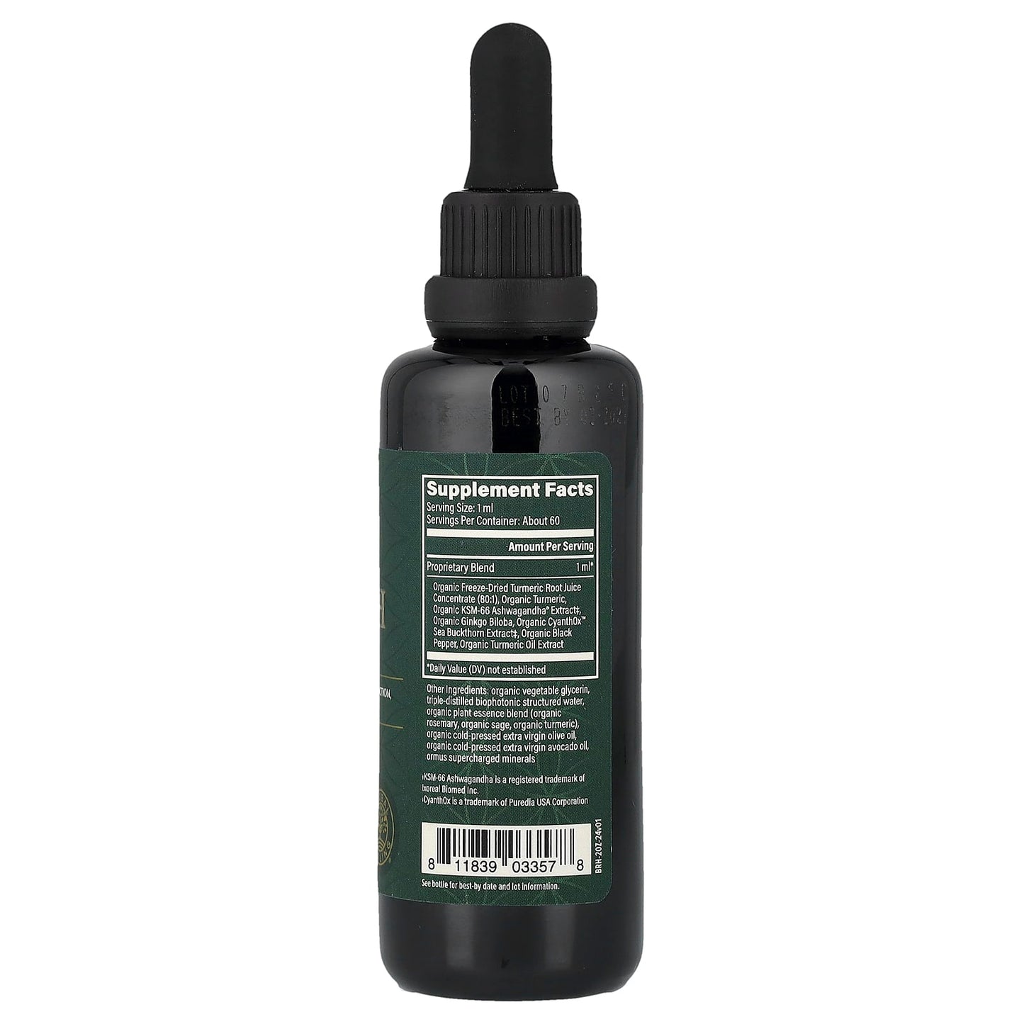 Global Healing, Microsomal® Brain Health, 2 fl oz (59.2 ml) - 811839033578 | Hilife Vitamins