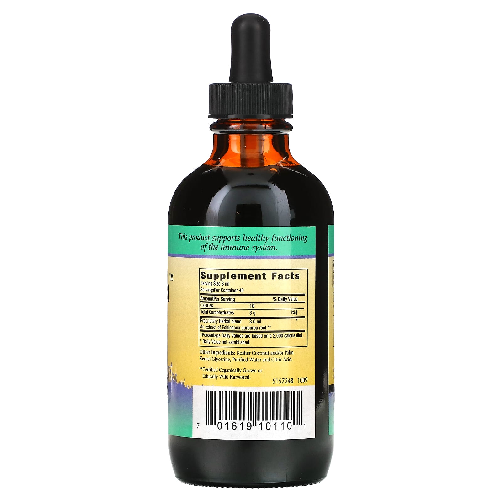Herbs For Kids, Sweet Echinacea Alcohol-Free, 4 Oz Liquid UPC 701619101101 | HiLife Vitamins