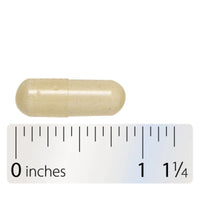 Integrative Therapeutics, NutriVitamin Enzyme Complex™ without Iron, 180 Capsules - 871791000513 | Hilife Vitamins